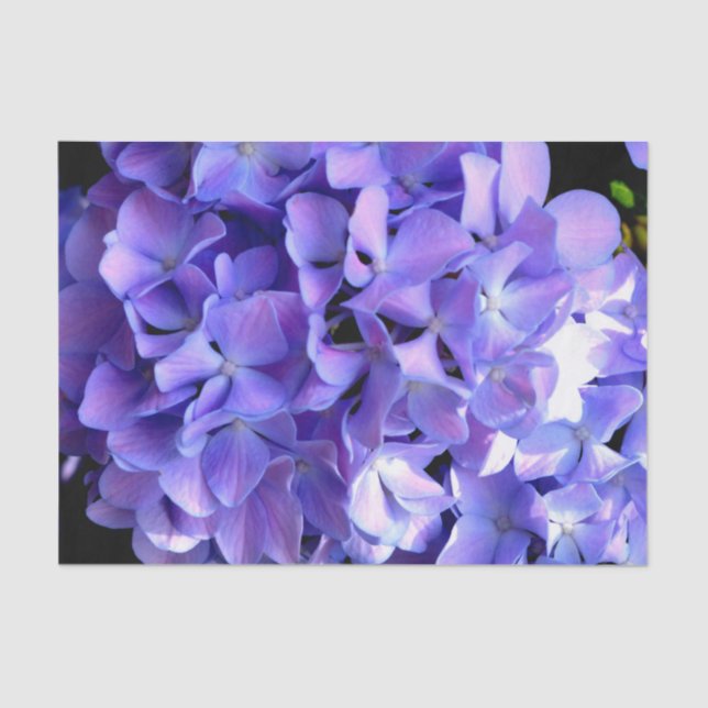 Periwinkle hydrangeas purple flowers blue flowers tissue paper (Front)