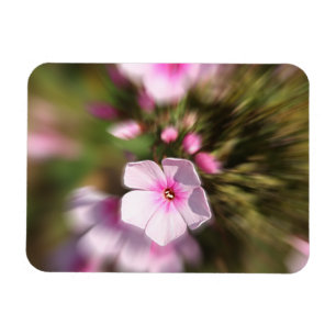 Periwinkle Magnet