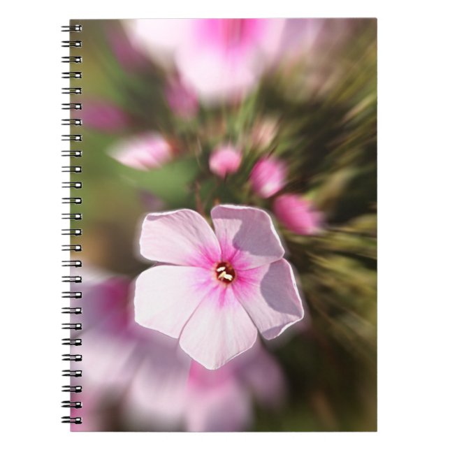 Periwinkle Notebook (Front)