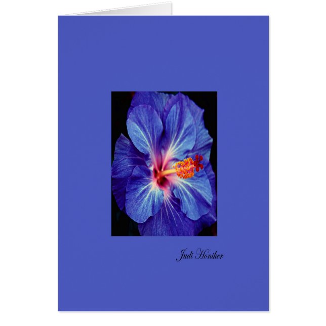 Periwinkle~One of the Most Worn Colours (Front)