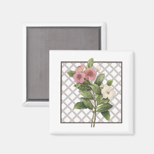 PERIWINKLES MAGNET