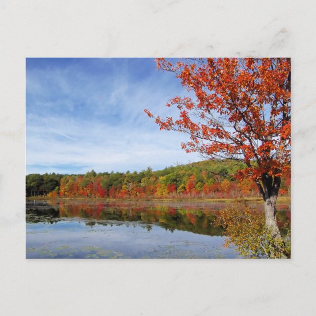 Perkins Pond Autumn Scene Postcard (Front)