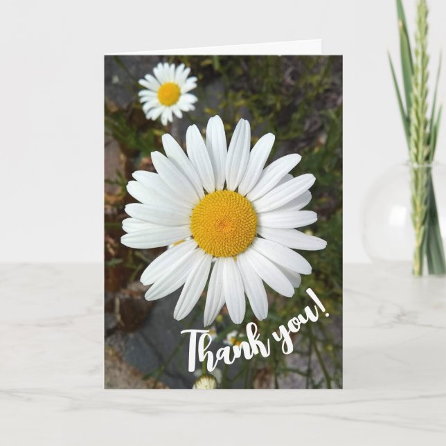Perky White Daisy Flower Thank You Card (Front)