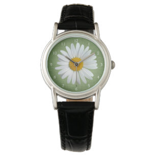 Perky White Daisy Flower with Green Background Watch
