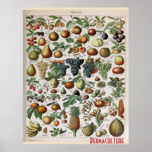 Permaculture Farms Fruits ,  personalize Poster