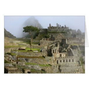 Pérou, Machu Picchu. L'ancienne citadelle de