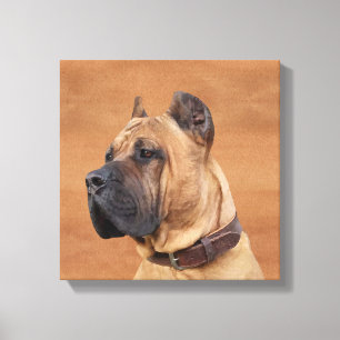 Perro de Presa Canario - Dogo Canario Canvas Print