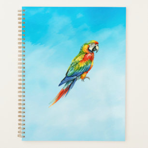 Perroquet