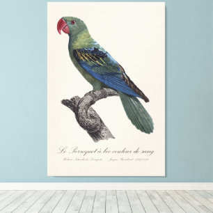 Perroquet a bec couleur sang / Great-billed parrot Canvas Print