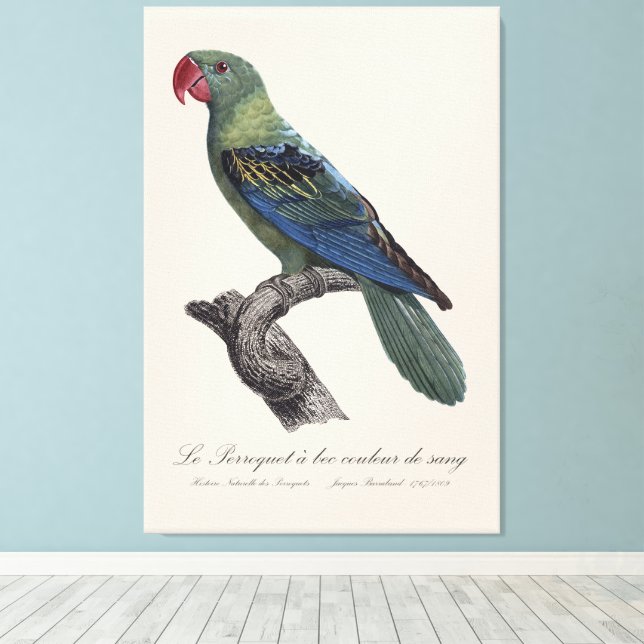 Perroquet a bec couleur sang / Great-billed parrot Canvas Print (Insitu(Wood Floor))