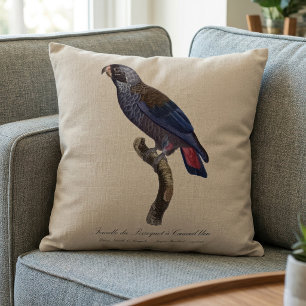 Perroquet a Camail bleu / Dusky parrot  Throw Pillow