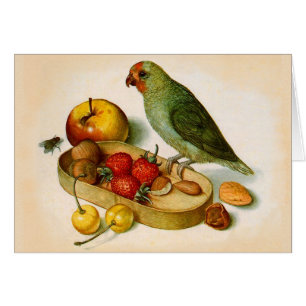 Perroquet à la pomme de terre avec fruits et noix