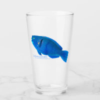 Perroquet à museau en bosse Coupe en verre