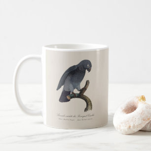 Perroquet Cendre / Timneh African grey parrot   Coffee Mug