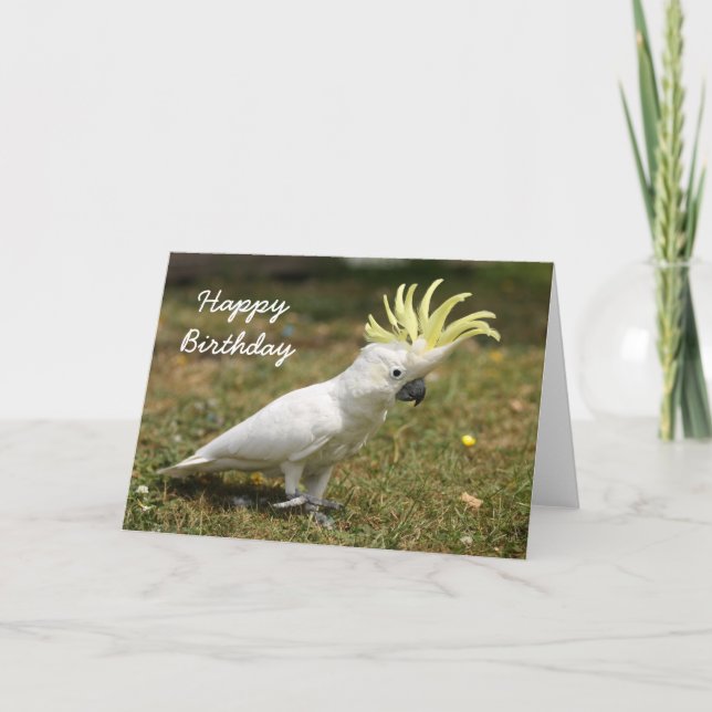 Perroquet de cacatoès crêté de soufre de carte (Devant)
