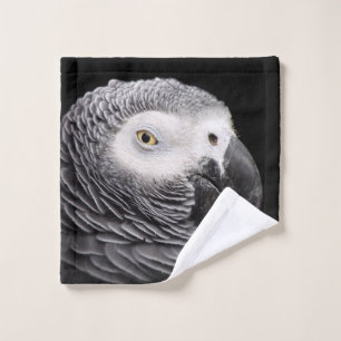 Perroquet Gris Africain