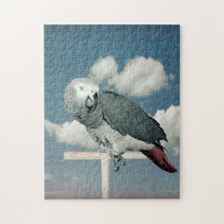 Perroquet gris d'Afrique avec puzzles de ciel