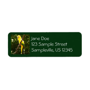Perroquet jaune