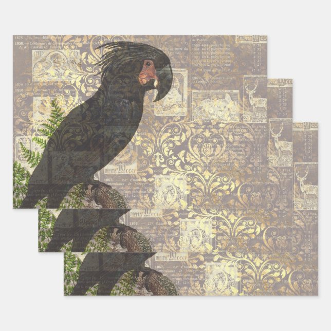 Perroquet noir avec Damas et papier journal (Lot)