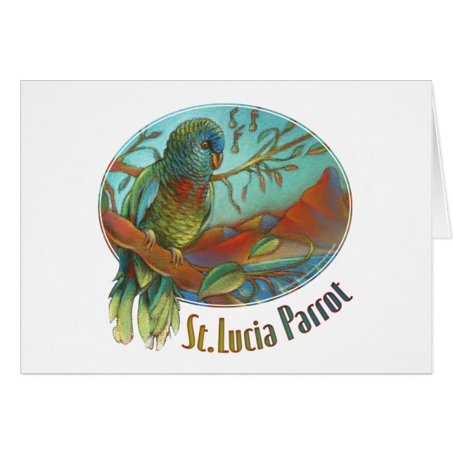 Perroquet tropical du St Lucia (Devant horizontal)