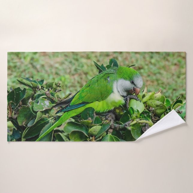 Perroquet vert (Serviette de bain)
