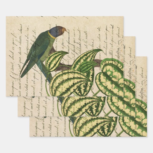 Perroquet vert sur la branche et les Feuilles (Lot)