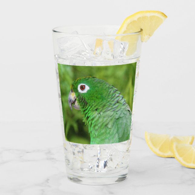 Perroquet vert - Verre (Dos glace)