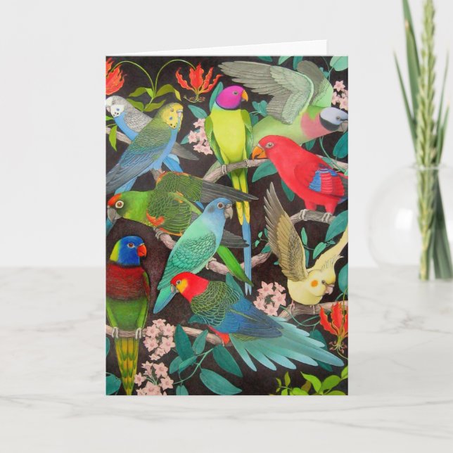 Perroquets colorés d'animal familier de la carte (Devant)