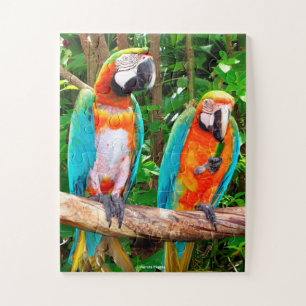 Perroquets Floride Jigsaw Puzzle