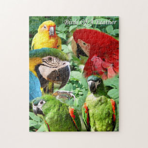 Perroquets - puzzle de Birds of a Feather