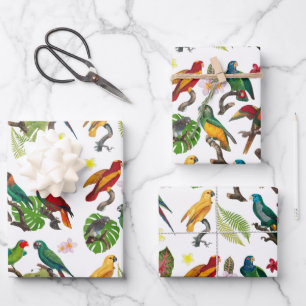 Perroquets tropicaux colorés, Feuilles et fleurs