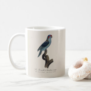 Perruche a bandeau rouge / Musk Lorikeet  Coffee Mug