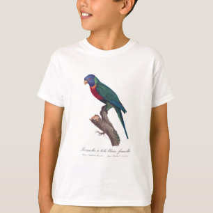 Perruche a tete bleue, femelle / Rainbow lorikeet, T-Shirt