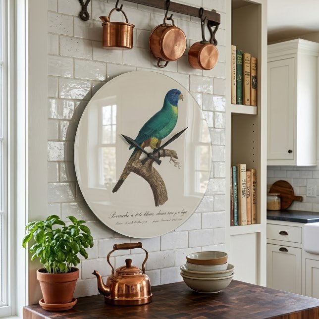 Perruche a tete bleue / Rainbow lorikeet, juvenile Large Clock (Perruche a tete bleue / Rainbow lorikeet, juvenile. Large Clock)