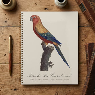 Perruche Ara, Guarouba  / Sun parakeet  Planner