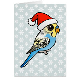 Perruche bleue et jaune de Père Noël