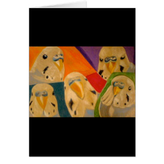 Perruche de perruche