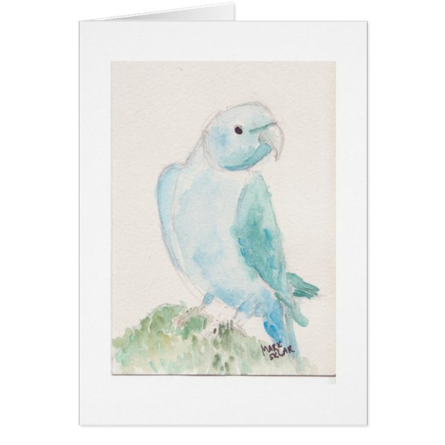 Perruche indienne de ringneck (Devant)