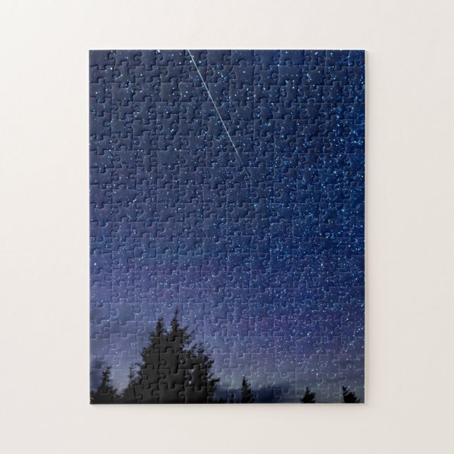 Perseid Meteor Shower Jigsaw Puzzle (Vertical)