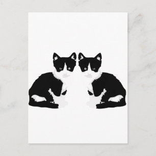 persephone&hades 'tuxedo cat' postcard