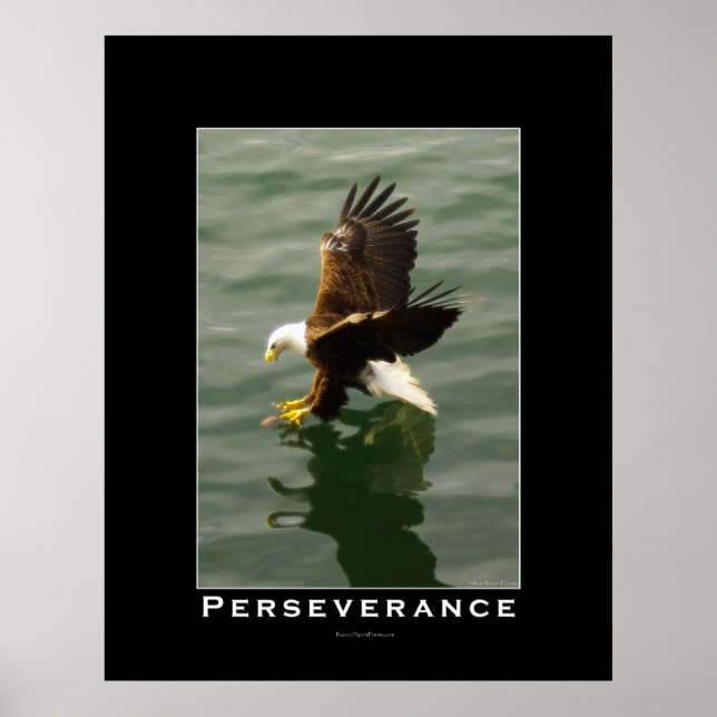 PERSEVERANCE Bald Eagle Motivational Art Poster (Front)