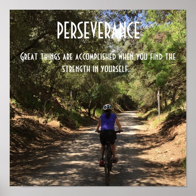 Perseverance Bike Riding Motivational Quote Poster (Front)
