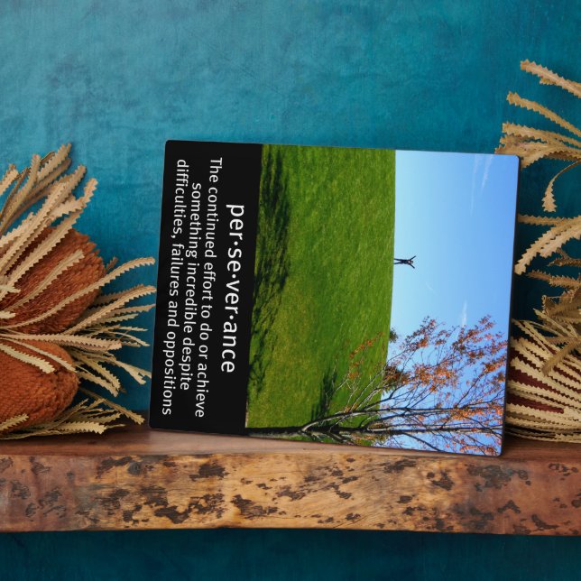 Perseverance Definition Picture Plaque (Side)