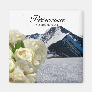 Perseverance Magnet