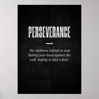 PERSEVERANCE POSTER