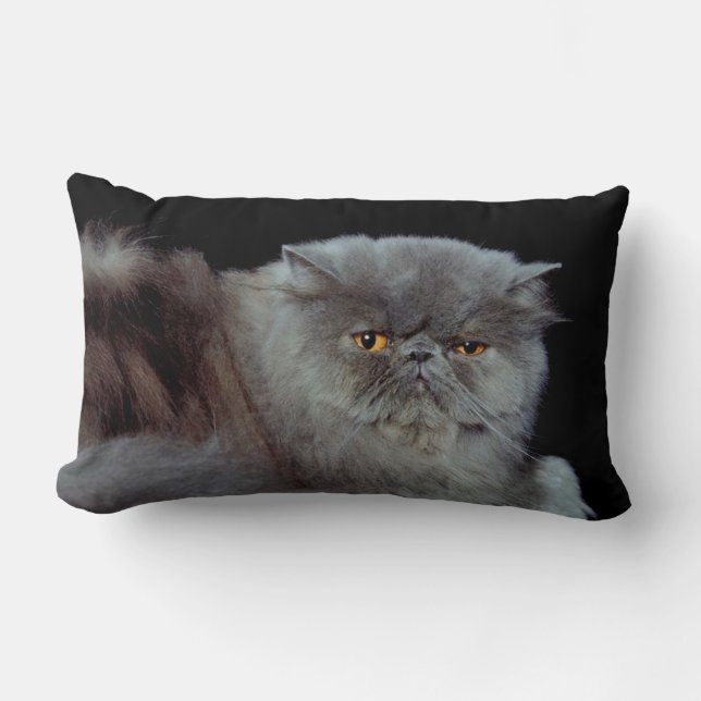 Persian Blue Lumbar Pillow (Front)