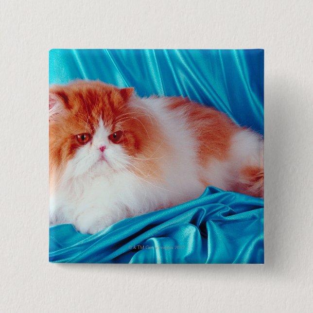 Persian cat 2 inch square button (Front)