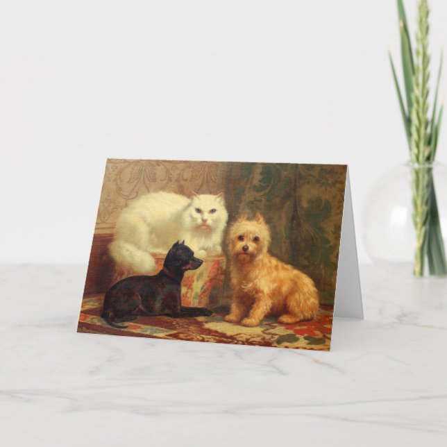 Persian Cat and Dogs Greeting Card (Front)