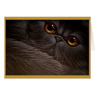 PERSIAN CAT ANY OCCASION Card