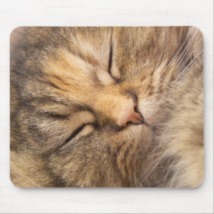 Persian Cat Asleep Mouse Pad